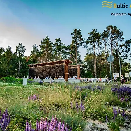 Baltic - Bursztyn